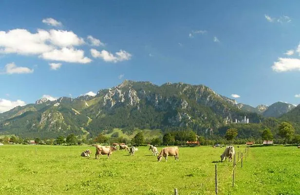 Guest house Jaegerhof Und Jaegerstadel Schwangau